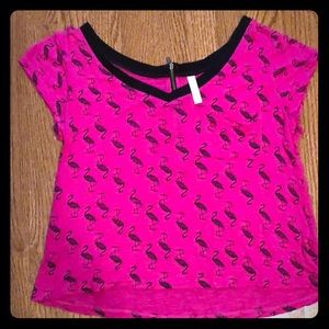 Pink Flamingo Crop Top